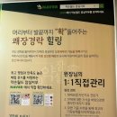 로샤잠실