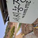 서씨농장 이미지