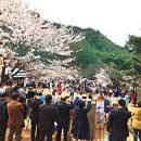원주고니골황토펜션 | 강원도계곡펜션 주주산방 서울근교계곡 찾는다면 7뤌여행지로 여기 추천!