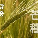 여름 앞에서/ 망종의 학교 이미지