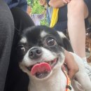 미르아이병원 이미지