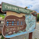 안심창조밸리 천천둘레길 | 반야월 안심 연꽃 단지 다녀왔어요