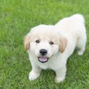 베이지동물병원 이미지