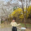 르마(RMA) | 집들이선물 성공템 르마엔코튼 향좋은건조기시트