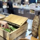 에스비 | 서울가성비베뉴 더에스비웨딩컨벤션 뷔페 시식 후기