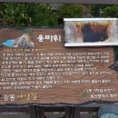 당사해양낚시공원 이미지