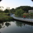 드림랜드 이미지