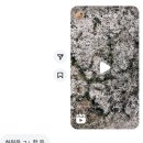 팔도화원 | 나이반납할게요환불해주세요깔끔하게사용했어요기스없구요