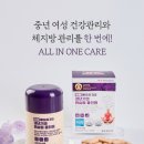 퀸슬림