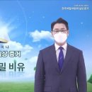 신천지예수교회 이미지
