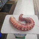 봉화문어집
