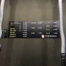 탄통제주돼지