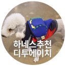 디투블루 이미지