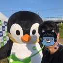 (야간)통기타B | 더레이스 대전 10km, 60분 이내 완주 성공! / 대회 후기