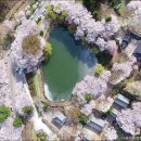 [월간산] 벚꽃 여행지 - 거창 덕천서원, 스러져가는 것의 품격 이미지