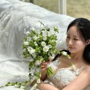 천안웨딩드레스 디아브라이드 웨딩스튜디오 헤리티지가든 천안촬영