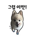 정통생막창 이미지