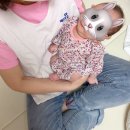 바우처베스트맘 네이버블로그