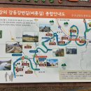 금산인삼전통시장 이미지