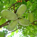 명천마을 이미지