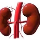 동네헬스장 이미지