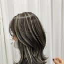 브로시스 이미지