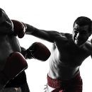 역삼-1744 이미지