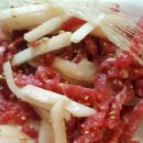 조촐이 Daum카페