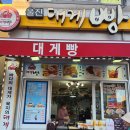 [삼척 맛집] 삼척 쏠비치 조식뷔페 / 묵호항 대게빵 풍어횟집 내돈내산 후기