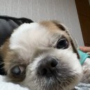 레드포스 PC아레나 삼산점 이미지