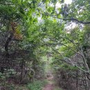 가야유원지 등산로 이미지