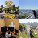 가-40 | 충북 제천 가볼만한곳 영월 여행 코스 포함 5월 국내 여행지
