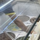 Taste./[배스킨라빈스그래이맛어워드][내가아인슈페너] 내돈내산 솔직후기