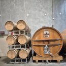 1055 | [D+1055] LuLu Island Winery 방문 후기(리치몬드 와이너리)
