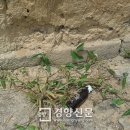 자양마을회관 이미지