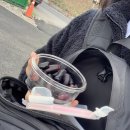 노바카센타 | 게키오코뿡뿡마루