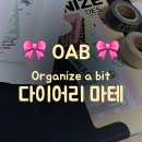 [문구쇼핑] OAB 다이어리 Organize a bit 🎀✨️😍 다이어리 마테 구입 후기