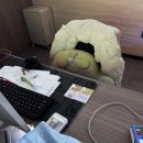 대련 | 대련 4일차 (대련 후기)