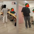 스펀지