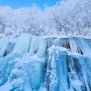 역앞 버스정류장(하행) 이미지