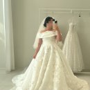 에이스비즈 | 청주 메종드안 본식 드레스 지정 가격·혜택(에이스웨딩)