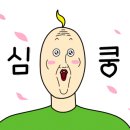 메르시(merci beauty)