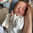 백운농업협동조합 | 3주 동안 주말마다 보조 육아하고 지냈던 밀린 일상기록