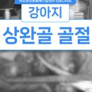 속초삼성동물병원 이미지