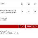 오징어나라 이미지