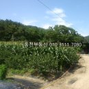 월영모텔 - 10754 | 월영모텔