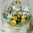 펠리스모멘토