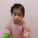 꽃향 이미지