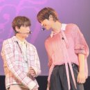 후와후와 이미지