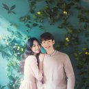 팜울림 이미지